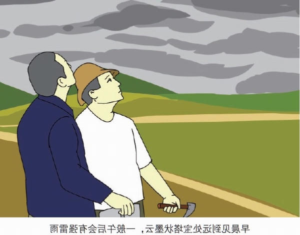 十大最大的网络彩票平台